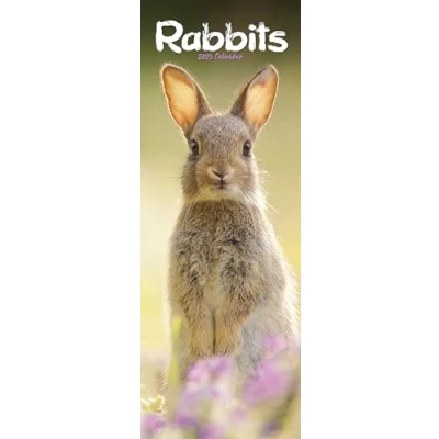 Image of Rabbits Slim 2025 Slimline Wall Calendar Animal, Pet, Wildlife Calendar: Original Avonside Kalender [Mehrsprachig] [Kalender]