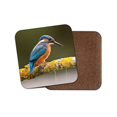 Image of 1 x Beautiful Kingfisher Coaster Bird Wildlife Nature Animals Wild Dad #15668