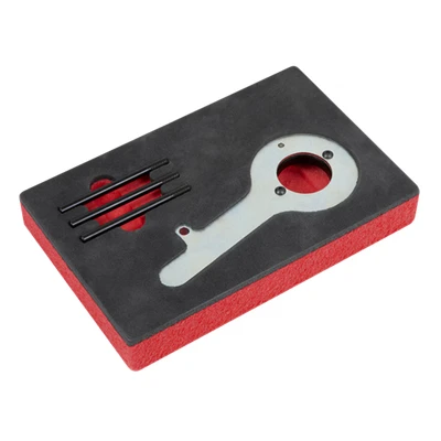 Image of Sealey Diesel Engine Timing Tool Kit, Ford 2.0TDCi EcoBlue, Belt Drive VS5285, Red