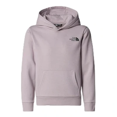 Image of The North Face TEEN Simple DOME Hoodie Unisex for kids, Size: 6y, Moonstone grey