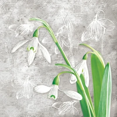 Image of 20 Napkins Flowers, Garden &amp; Nature Natural Snowdrops on Grey as Table Decoration Paper with Motif Also for Decoupage and 33 x cm