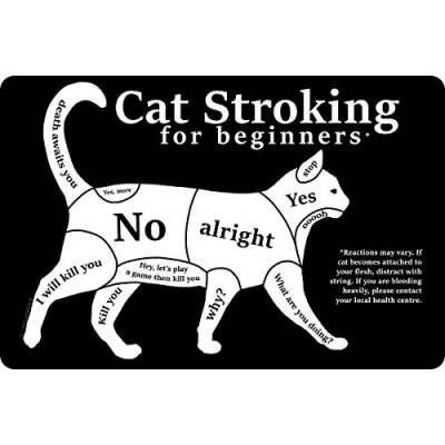 Image of Grindstore Cat Stroking For Beginners Small Tin Sign Black 15 x 10cm