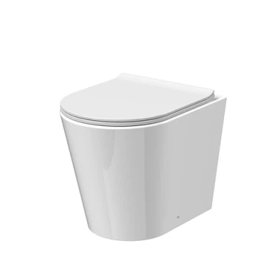 Image of Contemporary Round Rimless Back to Wall Toilet Pan with Soft Close Sandwich Seat