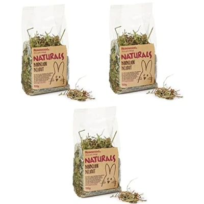 Image of 3 PACK BOREDOM BREAKER DANDELION DELIGHT NATURAL SMALL ANIMAL TREAT 100G