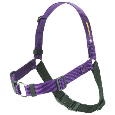 Image of SENSE ation No Pull Dog Harness Purple Medium
