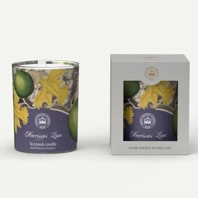Image of Royal Botanics Gardens Kew Candle in a Tumbler Narcissi Lime