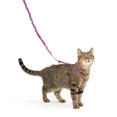 Image of PetSafe Come with Me Kitty Harness and Bungee Leash, for Cats, Medium, Dusty Rose/Burgundy