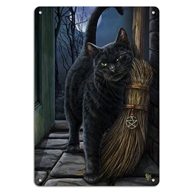 Image of Midsouth Products LISA PARKER 8&quot;x11.5&quot; TIN SIGN &quot;BRUSH WITH MAGIC&quot;