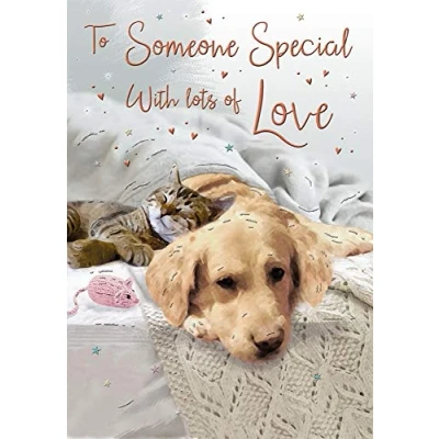 Image of Piccadilly Greetings Birthday Card Someone Special 9 x 6 inches Regal Publishing,pinkwhitegreyred