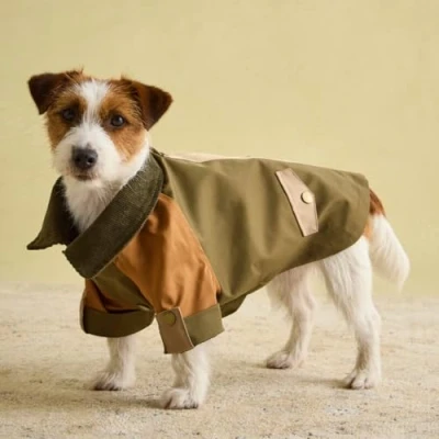Image of Rosewood Joules Kennington Coat for Dogs, Medium, Washable, Lightweight Jacket, Rain/Water Resistant Dog Medium Dogs