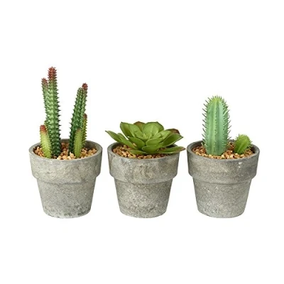 Image of BUZZ SET OF 3 Miniature Artificial Succulent/Cactus Houseplant in Grey Plant Pot with Pebble Detail
