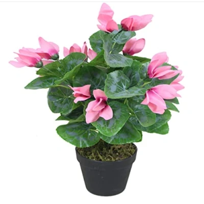 Image of Leaf Artificial Cylamen Flowering Plant, Plastic, Silk, Pink, 38cm