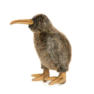Image of Kiwi 20Cm / 8 inches tall