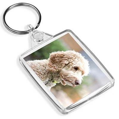 Image of Cute Labradoodle Keyring IP02 Labrador Poodle Dog Puppy Animals #15534