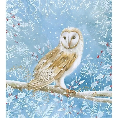 Image of Charity Christmas Cards Pack of 5 Age UK, Marie Curie, BHF, Mind Artistic Festive Design Owl on Snowy Branch Made in the UK Eco Friendly