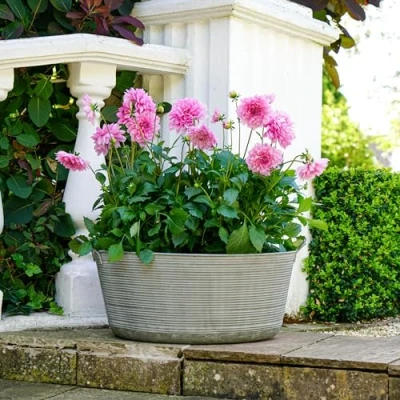 Image of Ivyline Matlock Galvanised Metal Oval Planter UV Stable &amp; Frost Resistant Decorative Stylish Weatherproof Outdoor Flower Pot H28cm x W48.50cm