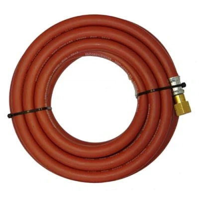 Image of Parweld Hose Assembly 10mm Ac 3/8in 10mt