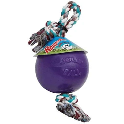 Image of Jolly Pets Romp n Roll Rope and Ball Dog Toy, 6 Inches/Medium, Purple