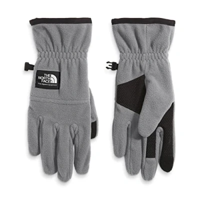Image of THE NORTH FACE Etip Gloves Meld Grey S