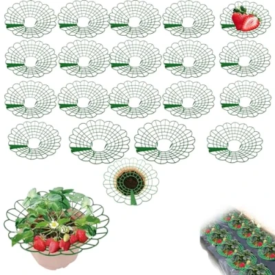 Image of Strawberry Support Holder,strawberry Plant Collars,strawberry Protection,strawberry Planting Stand,strawberry Mats,straw for Strawberries,plant Protectors From Animals,plant Stand 20pcs