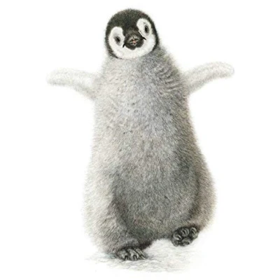 Image of Macmillan Cancer Support Christmas Cards Pack of 8 Emperor Penguin Chick (MABX814)