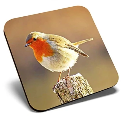 Image of Great Single Coaster Square Robin Redbreast Bird Animals Birds Glossy Quality Coasters Tabletop Protection for Any Table Type #8701