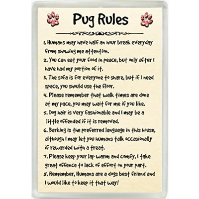 Image of Pug Rules Humour Jumbo Fridge Magnet Ideal Dog Lover Birthday Gift M118