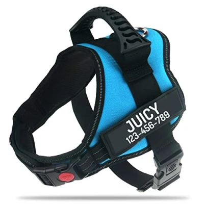 Image of Personalized No Pull Dog Harness with Custom Name and Phone Number by PawPawify, Heavy Duty Pet Vest to Prevent Tugging, Pulling, or Choking, Training Walking