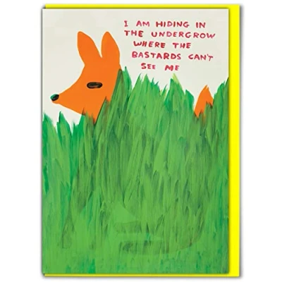 Image of Official David Shrigley Funny Rude Offensive Happy Birthday Card &#039;Can&#039;t See&#039; Perfect for Best Friends Mates Him Her Boyfriend Girlfriend Partner Sold Exclusively by Brainbox Candy