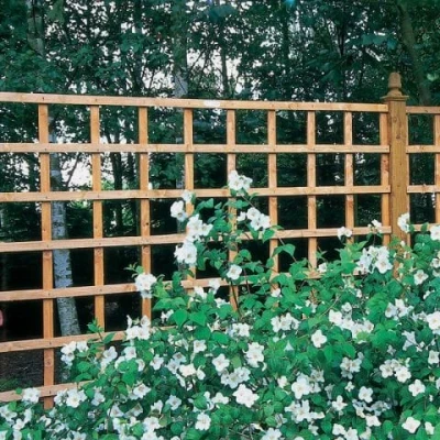 Image of Forest 6&#039; x Heavy Duty Square Garden Trellis Fence Panel (1.83m 1.83m)