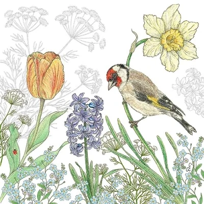 Image of 20 Napkins Spring Bird in Painted Meadow as Table Decoration Paper with Motif Also for Decoupage and 33 x cm