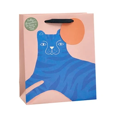 Image of UK Greetings Medium Gift Bag for Her/Friend Cat Design