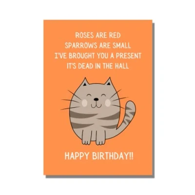 Image of Funny Humorous Cat Birthday Card
