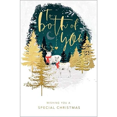 Image of Abacus Both of You Deer Christmas Card