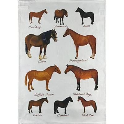 Image of Half a Donkey Hand Drawn Collection of Horse Breeds Large Cotton Tea Towel