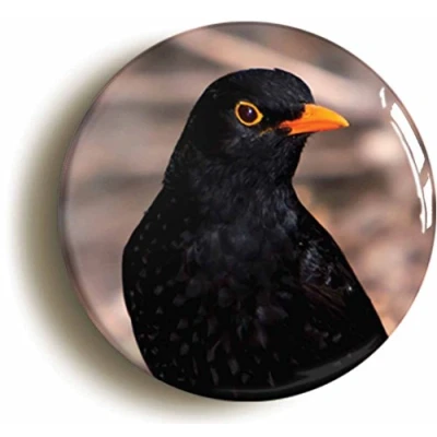 Image of Blackbird Fridge Magnet (Circular 2inch / 50mm Diameter)