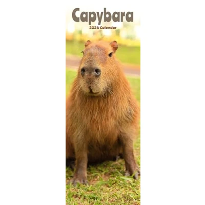Image of Capybara Slim Calendar 2026