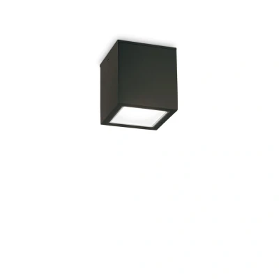 Image of Techo Outdoor Surface Mounted Downlight Black IP54, GU10