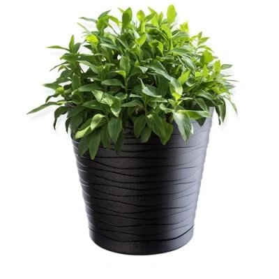 Image of KADAX Plastic Flowerpot, Indoor Plant Pot with Saucer, Lightweight Flower in Several Colours and Sizes, Unique Planter for Houseplants (25 cm, Anthracite)