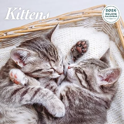 Image of Kitten Deluxe 2024 Calendar