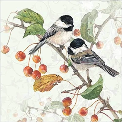 Image of Ambiente 3 Ply Paper Napkins Chickadee