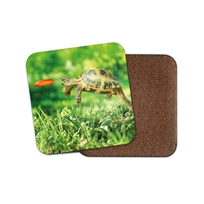 Image of 1 x Funny Tortoise Coaster Turtle Pet Animal Frisbee Dad Uncle #14390
