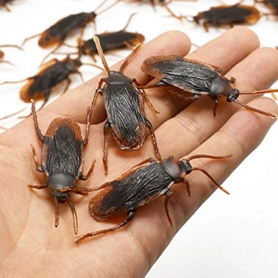 Image of TOSSPER Fake Cockroaches Plastic Realistic Bugs for April Fool&#039;s Day Halloween Party Favors Decorations 10pcs