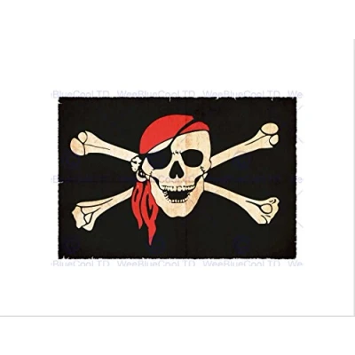 Image of Wee Blue Coo PAINTING JOLLY ROGER FLAG CROSSBONES SKULL PIRATE SHIP FRAMED ART PRINT B12X8334
