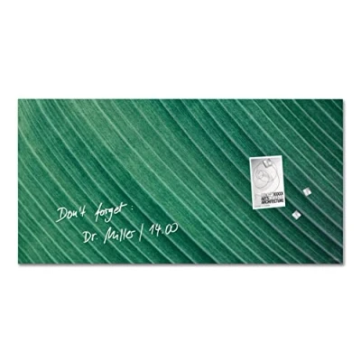 Image of SIGEL GL371 Artverum Magnetic Glass Board, palm leaf Green, 91 x 46 cm, safety