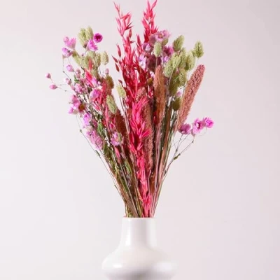 Image of Coco Dried Flower Bouquet 50cm Pink in Craft Paper Sleeve Flowers for Vase Home Décor Accessories Living Room Decorative Arrangements