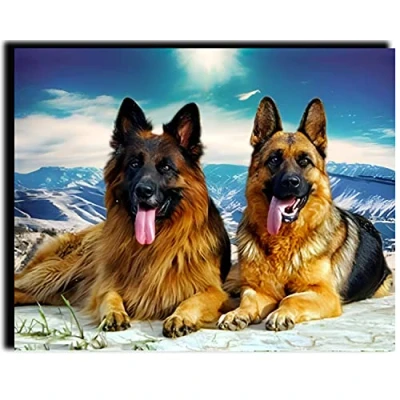 Image of WANGMAOMAO Paint by Numbers Kits 40cm x 50cm Canvas DIY Acrylic Painting for Adults and Kids with Paints Brushes Card Sized Magnifier German Shepherd Framed