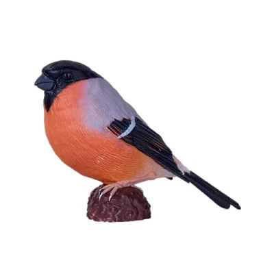 Image of Bullfinch