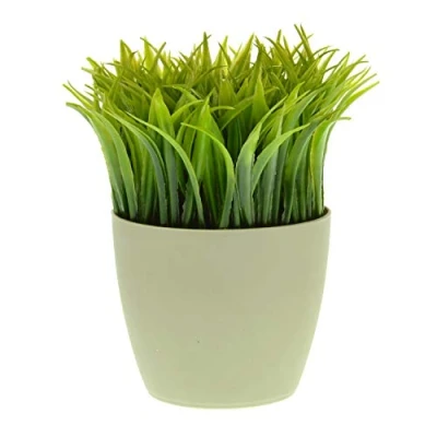 Image of Grass Pen Holder Flower Pot Desk Tray Tidy Organiser Storage