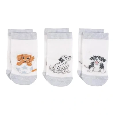 Image of Wrendale Designs Little Paws Baby Socks Set 0 6 Months